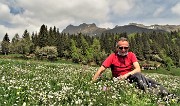 01 Ai prati della Pigolotta, , persa la fioritura dei crocus, mi godo lo spettacolo di tanti altri fiori